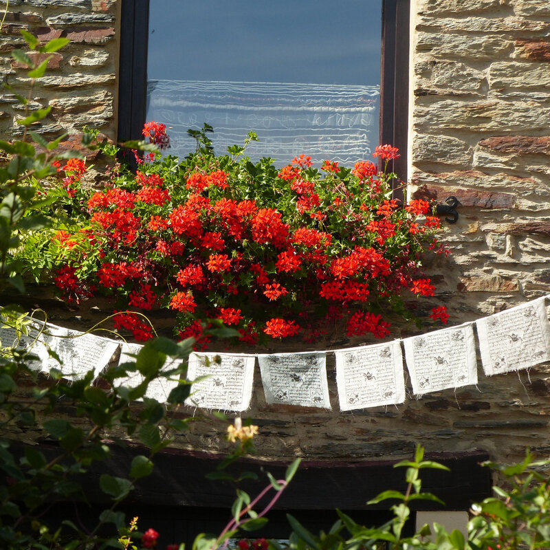 A PORTE FENETRE GRANDE GRILLES VASQUES FLEURS11