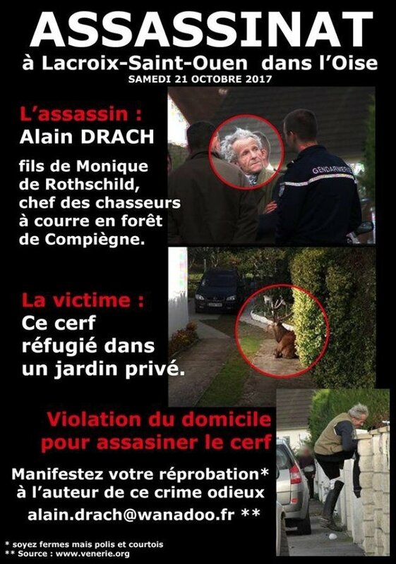 chasse