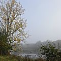 Le tour des étangs du rheu (ille-et-vilaine) le 1er novembre 2016 (9)