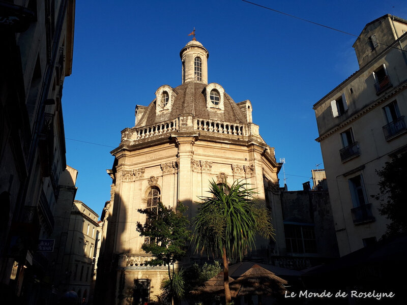 Ballade à Montpellier: Souvenirs en marge du congrès de la SF2H 