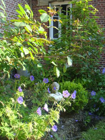 jardin-e