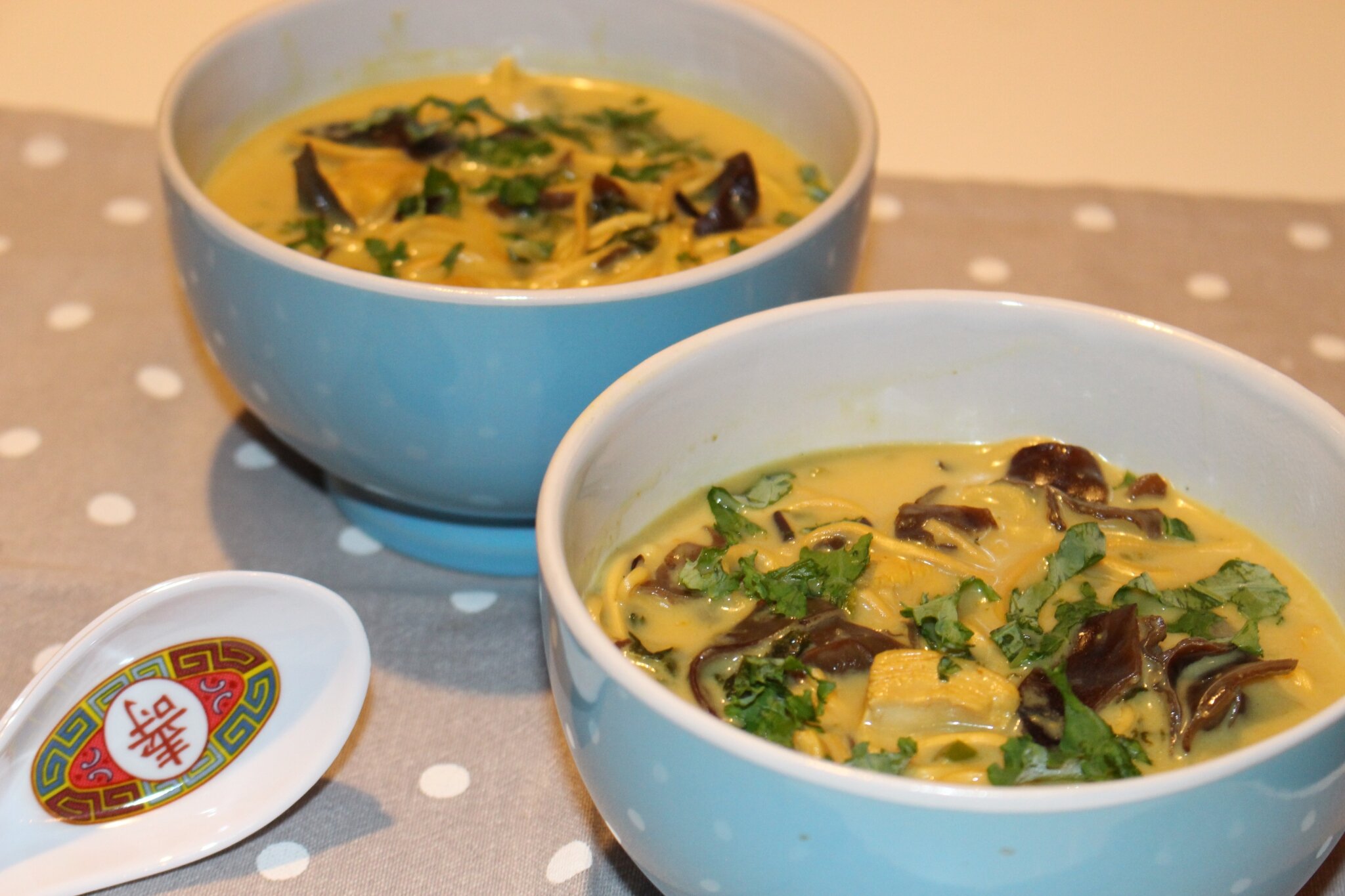 Recette pour Potage au curry et aux légumes chinois