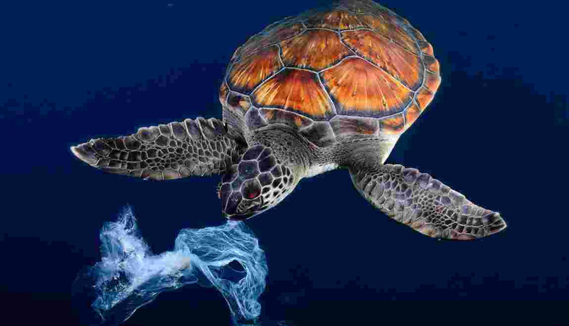 cop21-un-ocean-de-plastiques