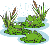 frogs_pl_small