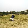 _IGP0880
