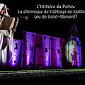 La chronique de maillezais du monastere de st-maixent, en poitou. 