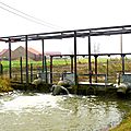 IMGP2411