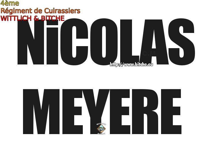 ♞MEYERE NiCOLAS