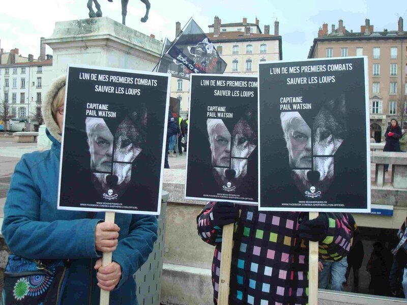 Manifestation contre la chasse au loup Lyon 16-01-2016 - Seashepherd Paul Watson