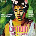 Camoin dans sa lumière, au Musée Granet, à Aix-en-Pce