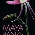 À petit feu, tome 1 : protège-moi - maya banks