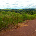 P_20200117_132427