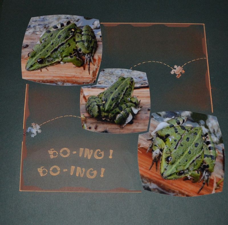 Drole De Dame En 8 Lettres AMES SENSIBLES S'ABSTENIR... - MURIEL ET SES DROLES DE DAMES