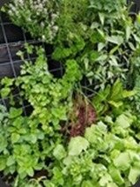 20170604_130736