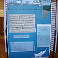 DSC01417