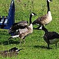 IMG_6376