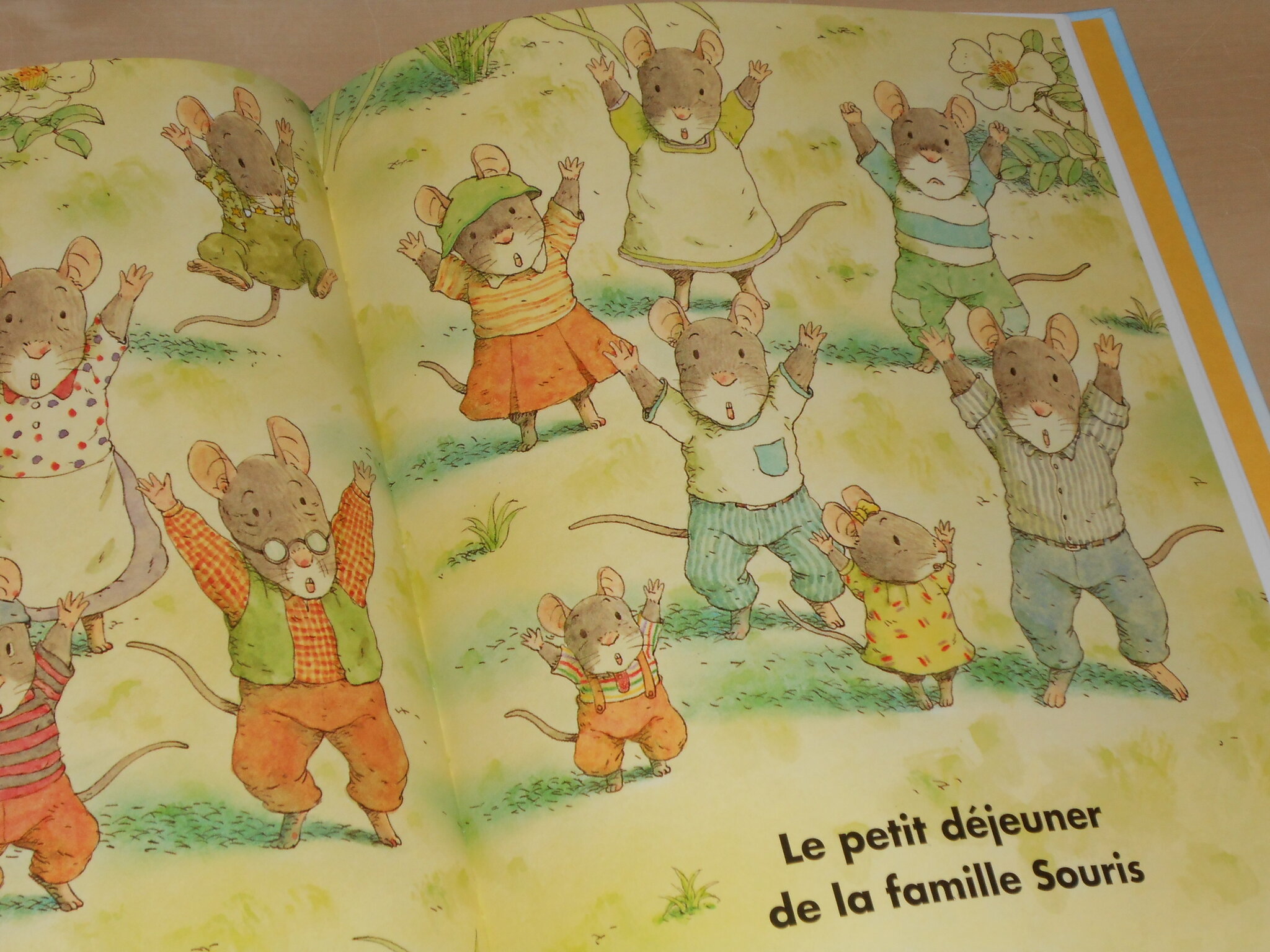 Les Aventures Des Souris Des Quatre Saisons Les 4 saisons de la famille Souris - A l'ombre du saule