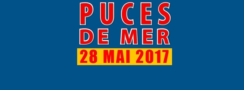 puces_marines_2017