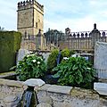 P1190874