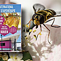 Rouen du 25 au 28 octobre 2018: congrès international d'apiculture sous la menace du frelon asiatique et des pesticides...