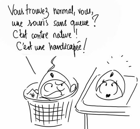 souris