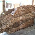 fibres de coco pour fabriquer des balais