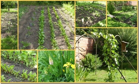 jardin 24 mai 20204