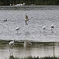 IMG_8884