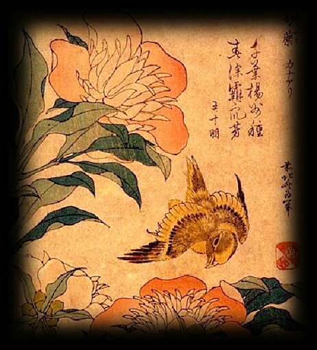 Hokuzai Katsushika (1760-1849), Canari et petites pivoines, 1834, estampe nishike-e, Japon, 24