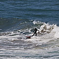 IMG_8146