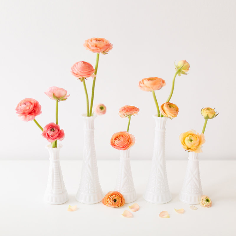 easter_ombre_ranunculus