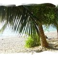 SeckasystemeTrezegue-plagesaly_rs