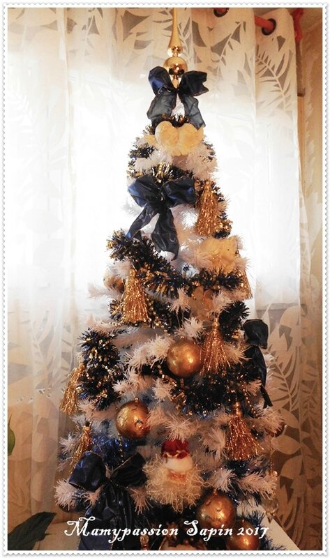 DSCN0049 7 Sapin 1