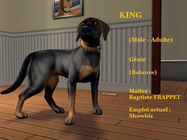 KING