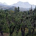 Les alentours de Mouriès