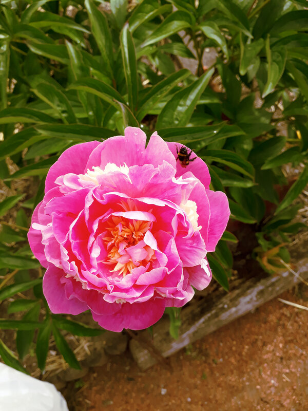 20190518_105250
