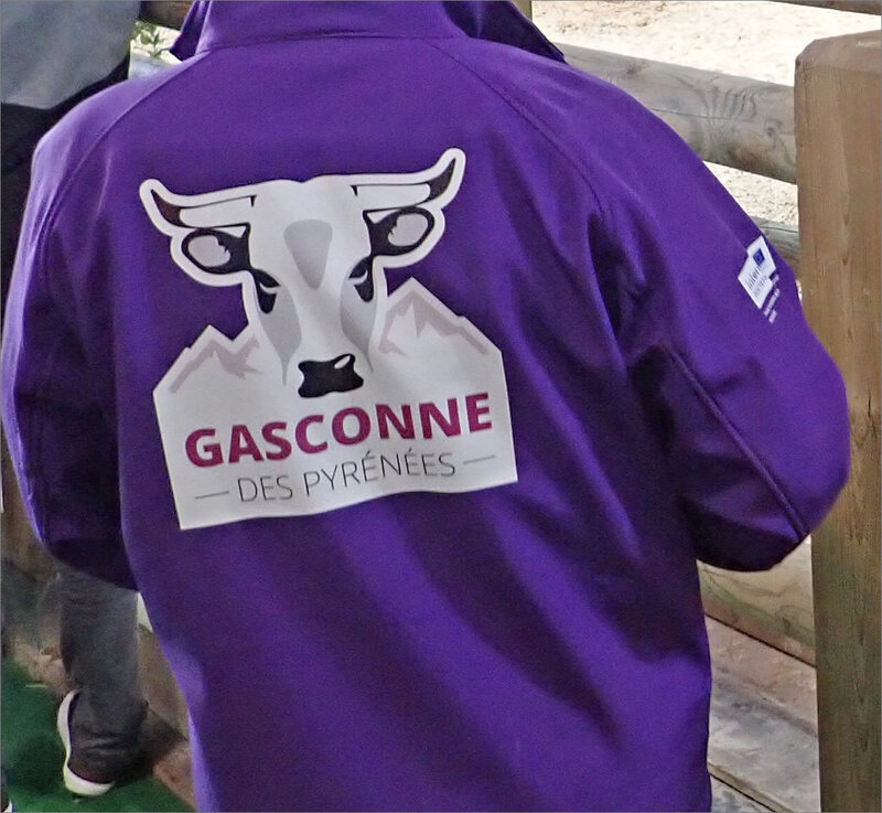 salon agriculture 2019 ym 10 pull Gasconne