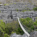 P1130885