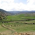 IMG_0427
