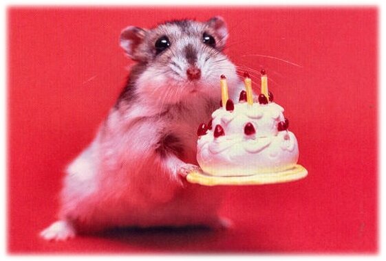 anniversaire3