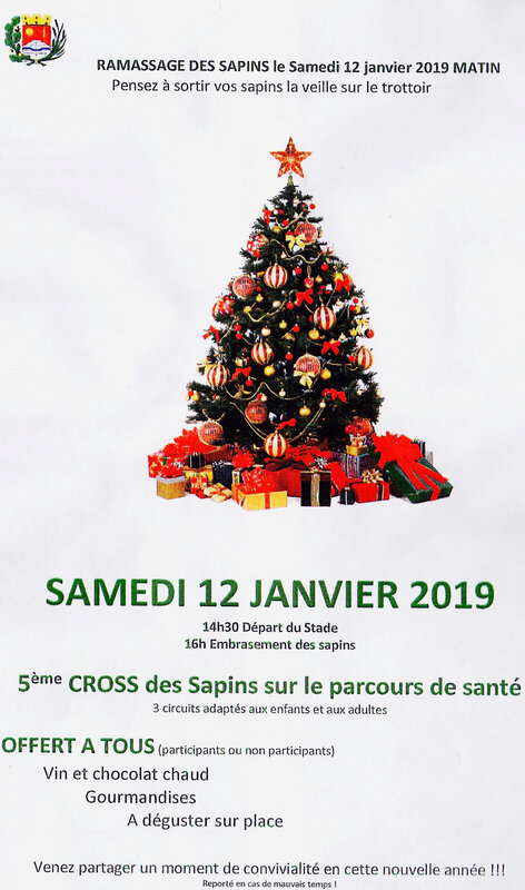 sapin-colette SCH