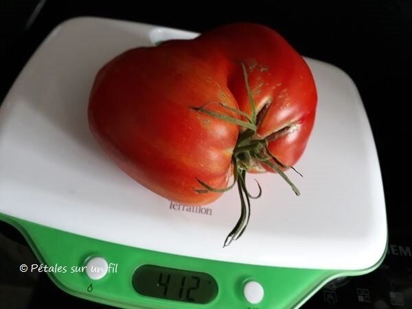 tomate2018