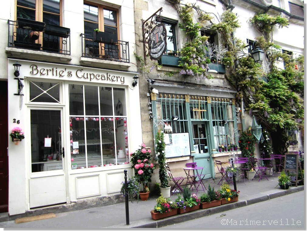 au vieux paris d'arcole 5