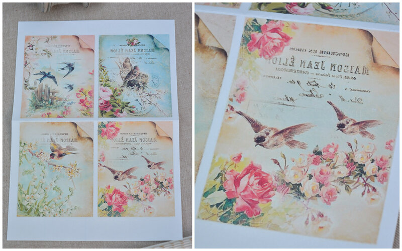 oiseaux par 4