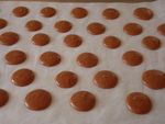 macarons à la noisette (16)