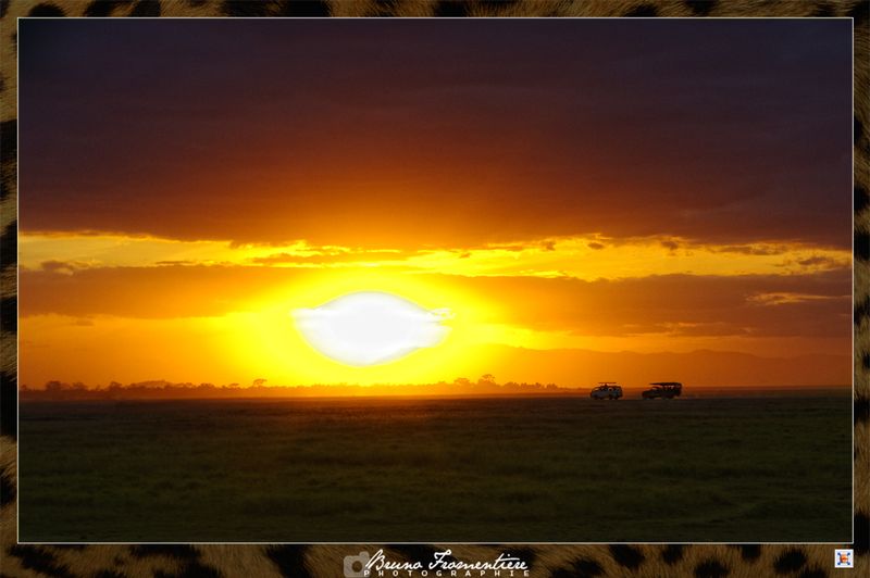 Safari_spirit_D