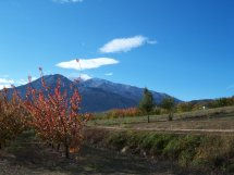 Canigou1