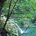 Forêt du Jura - Source du Lison
