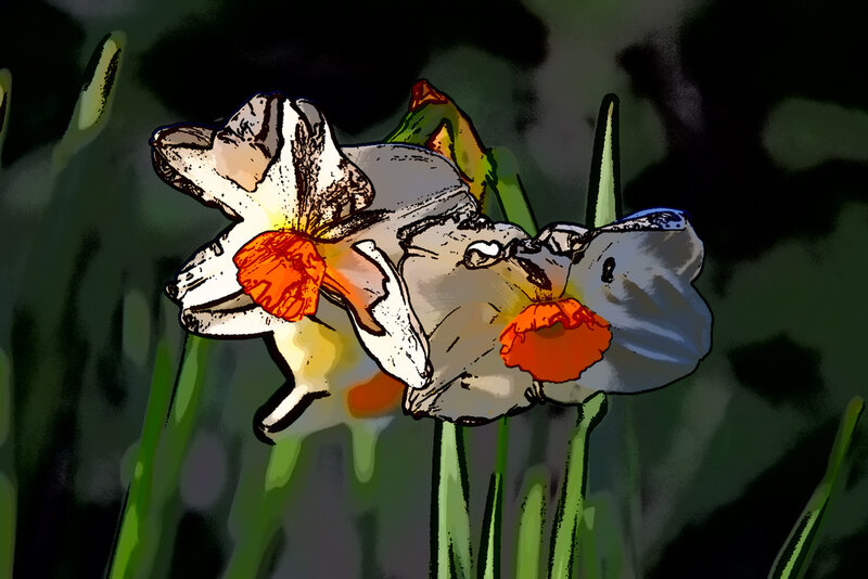 200316 Nikon 007