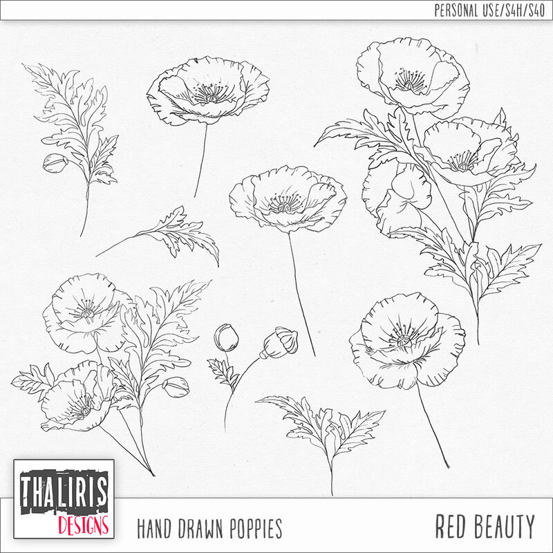 THLD-RedBeauty-HandDrawn-pv1000